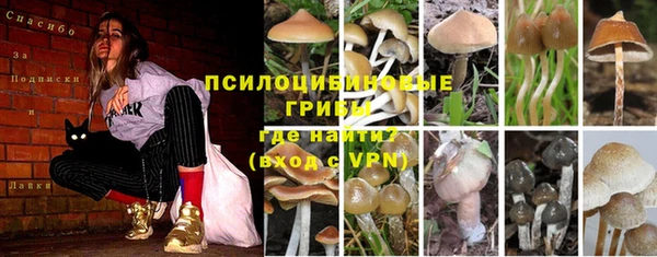 мескалин Верхний Тагил