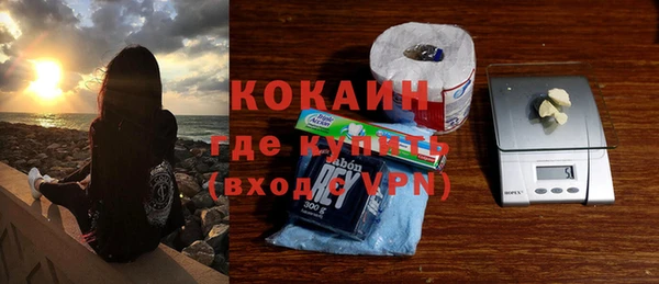 PSILOCYBIN Рославль