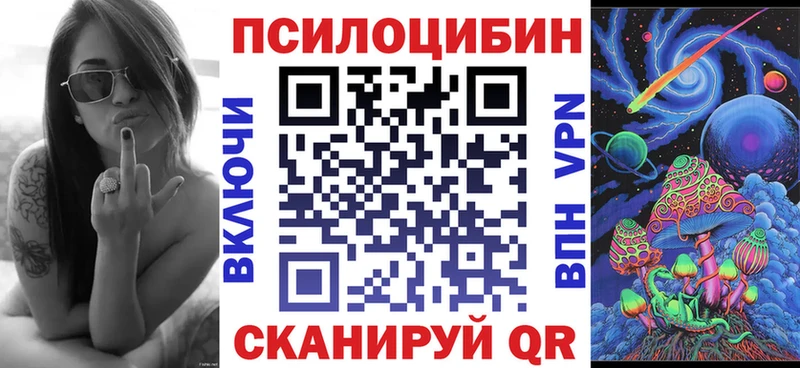 Галлюциногенные грибы Psilocybe  blacksprut как зайти  Петровск 