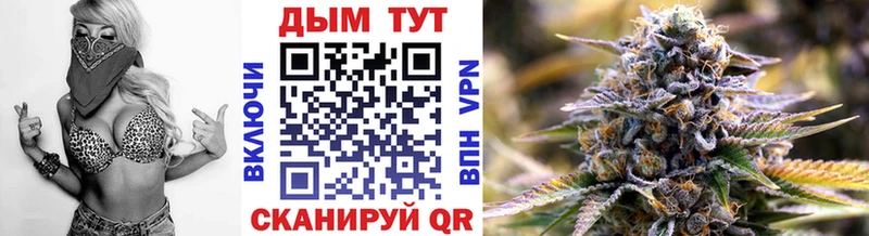 Бошки марихуана THC 21%  Петровск 